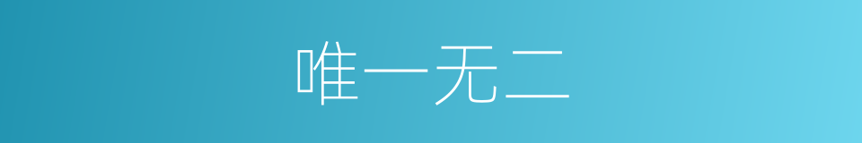 唯一无二的意思