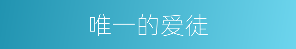 唯一的爱徒的同义词