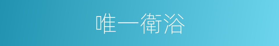 唯一衛浴的同義詞