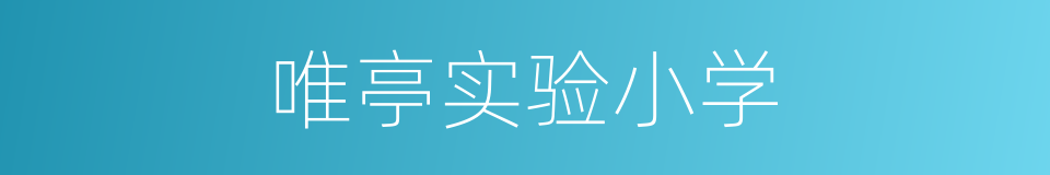 唯亭实验小学的同义词