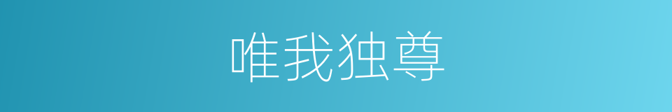 唯我独尊的意思
