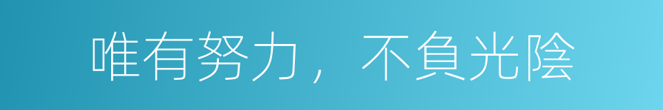 唯有努力，不負光陰的同義詞