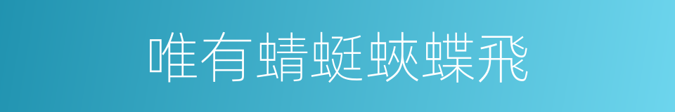 唯有蜻蜓蛺蝶飛的同義詞