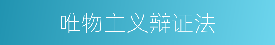 唯物主义辩证法的同义词