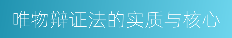 唯物辩证法的实质与核心的同义词