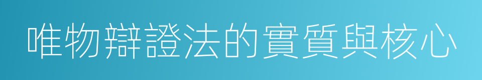 唯物辯證法的實質與核心的同義詞