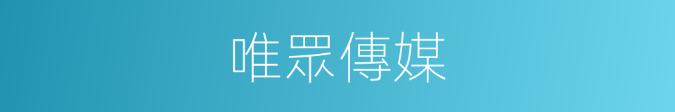 唯眾傳媒的同義詞