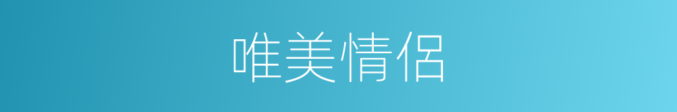 唯美情侶的同義詞