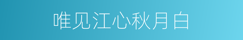 唯见江心秋月白的同义词
