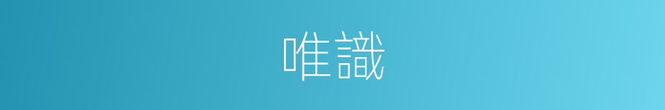 唯識的意思