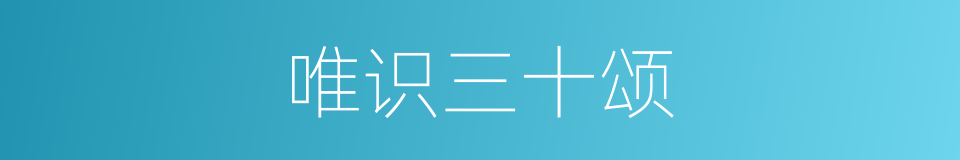 唯识三十颂的同义词