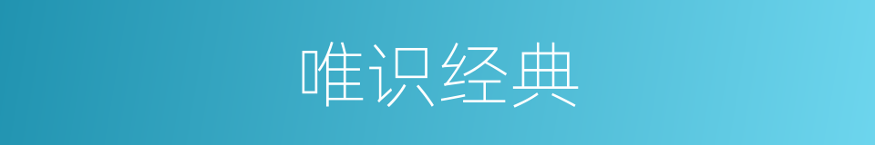 唯识经典的同义词