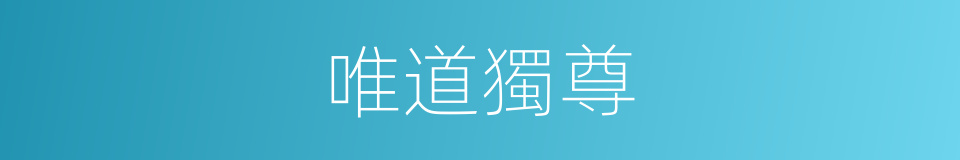 唯道獨尊的同義詞