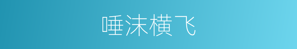 唾沫横飞的意思