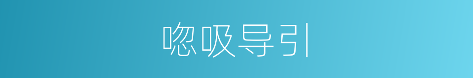 唿吸导引的同義詞
