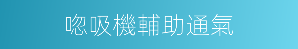 唿吸機輔助通氣的同義詞