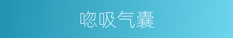 唿吸气囊的同義詞