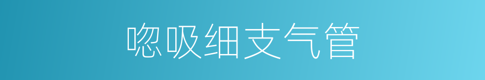 唿吸细支气管的同義詞
