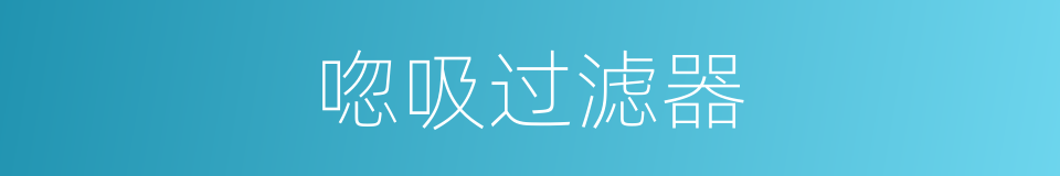 唿吸过滤器的同義詞