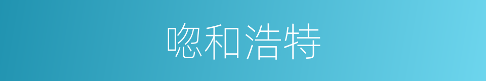 唿和浩特的意思