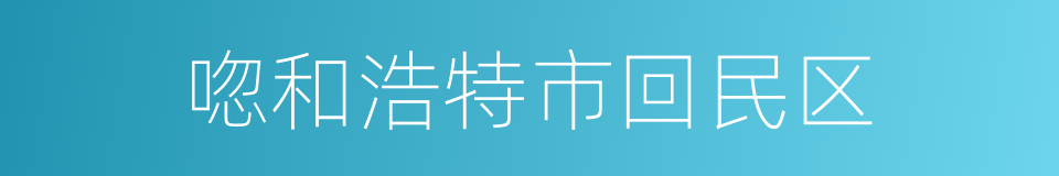 唿和浩特市回民区的同義詞
