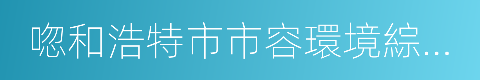 唿和浩特市市容環境綜合整治攻堅行動方案的同義詞