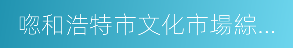 唿和浩特市文化市場綜合執法局的同義詞