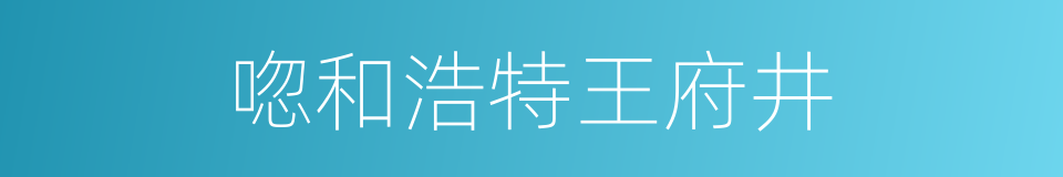 唿和浩特王府井的同義詞