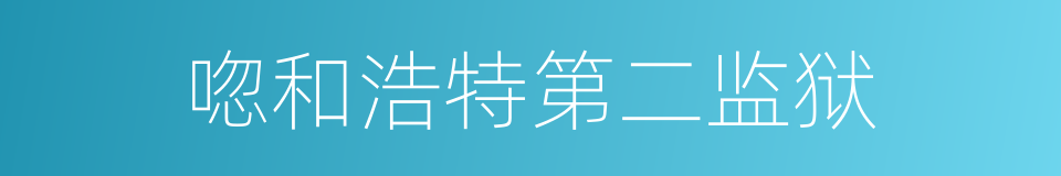 唿和浩特第二监狱的同義詞