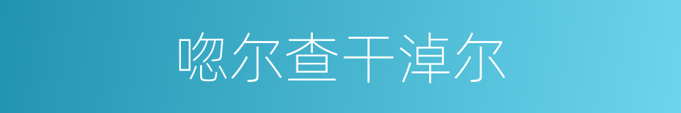 唿尔查干淖尔的同義詞