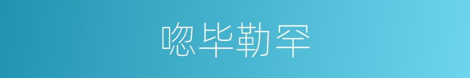 唿毕勒罕的同義詞