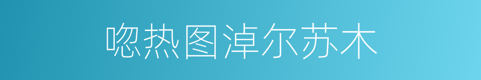 唿热图淖尔苏木的同義詞