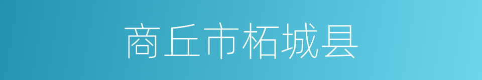 商丘市柘城县的同义词