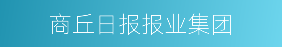 商丘日报报业集团的同义词