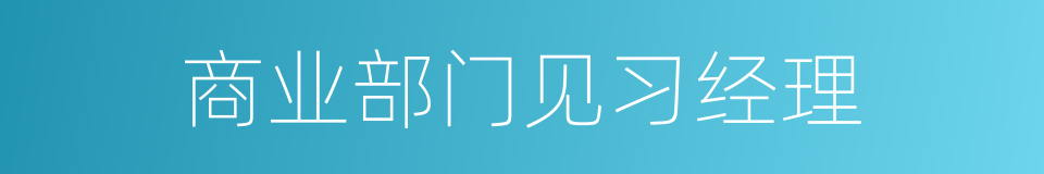 商业部门见习经理的同义词