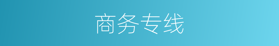 商务专线的同义词