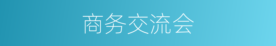 商务交流会的同义词