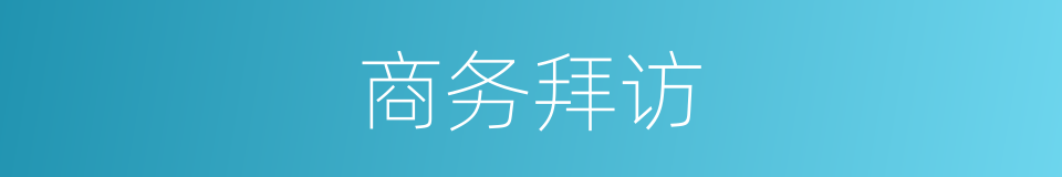 商务拜访的同义词