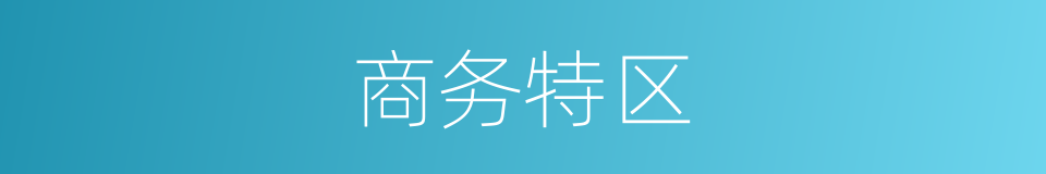 商务特区的同义词