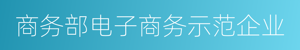 商务部电子商务示范企业的同义词