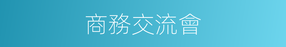 商務交流會的同義詞