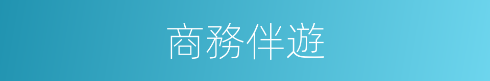 商務伴遊的同義詞