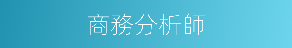 商務分析師的同義詞