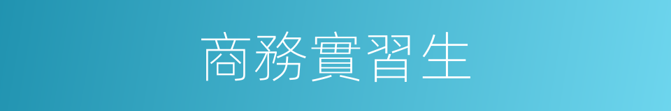 商務實習生的同義詞