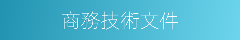 商務技術文件的同義詞