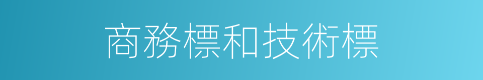 商務標和技術標的同義詞