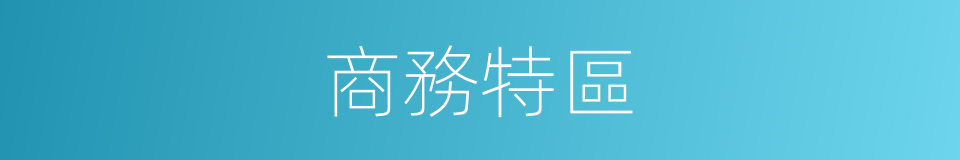 商務特區的同義詞
