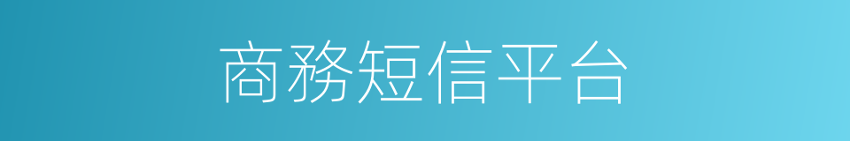 商務短信平台的同義詞