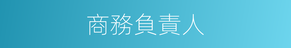 商務負責人的同義詞