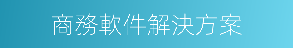 商務軟件解決方案的同義詞